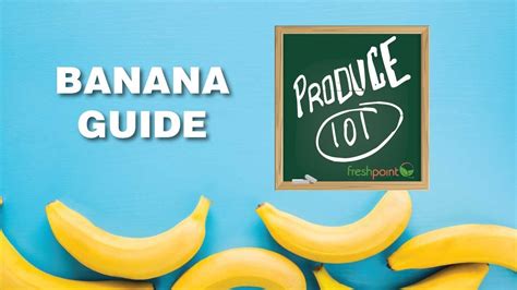 bananaguide|Web Directory .